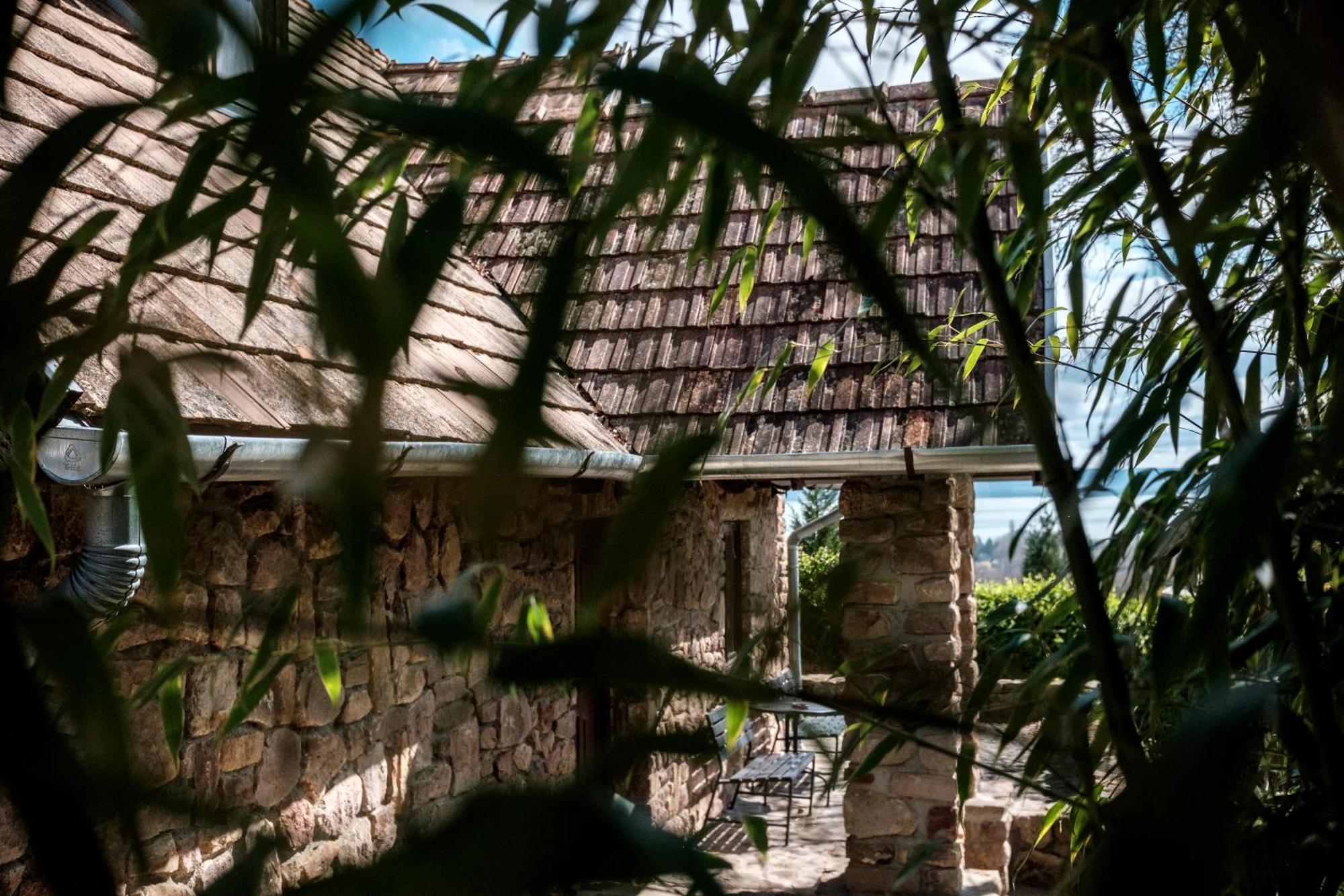 Abrahamhegyi Panorama Hideout 빌라 외부 사진